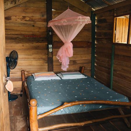 Apartamento Angry Birds Tree House Habarana Exterior foto