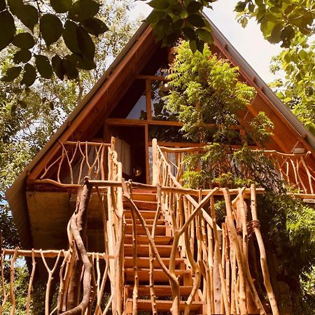 Apartamento Angry Birds Tree House Habarana Exterior foto