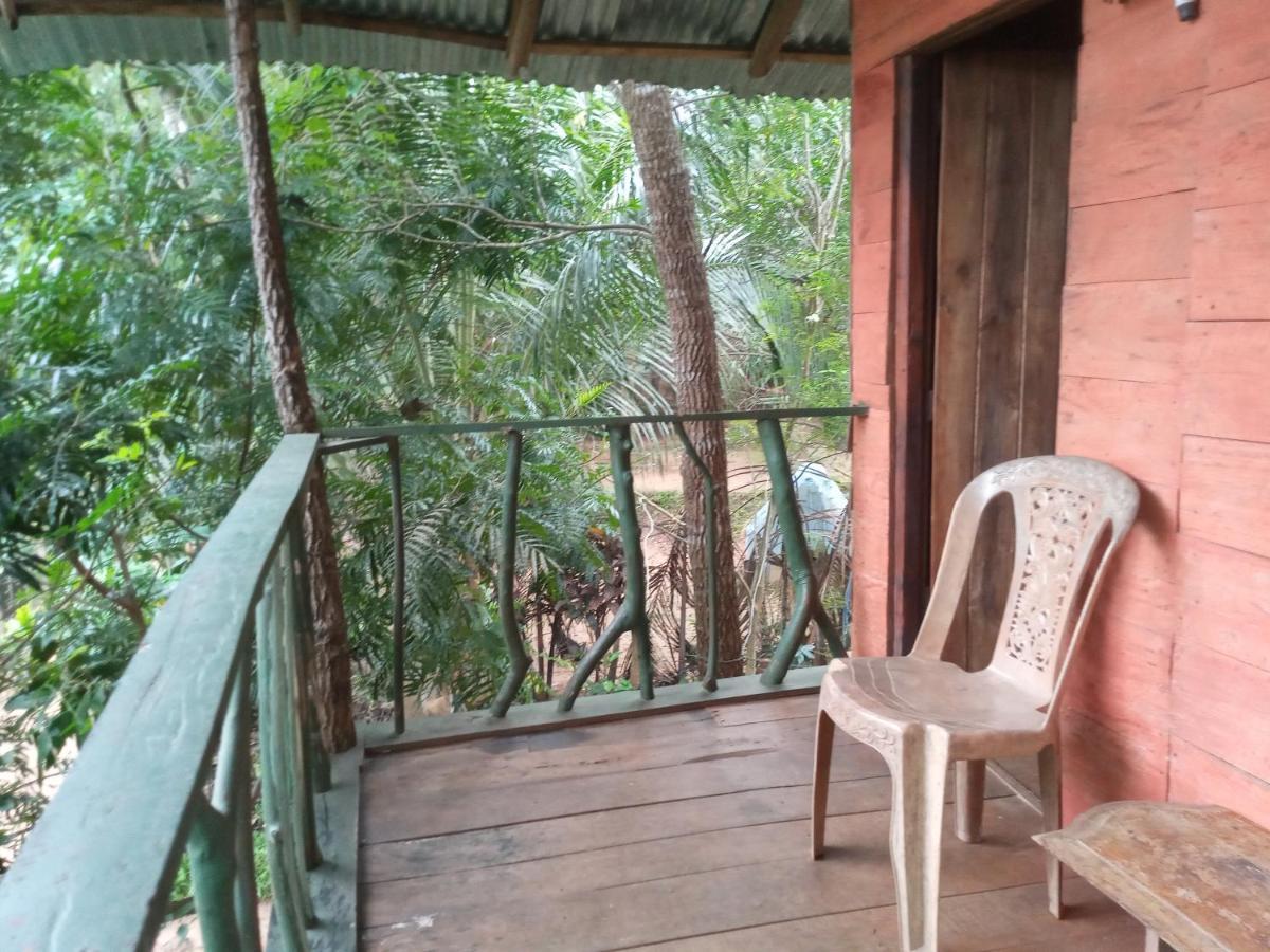 Apartamento Angry Birds Tree House Habarana Exterior foto
