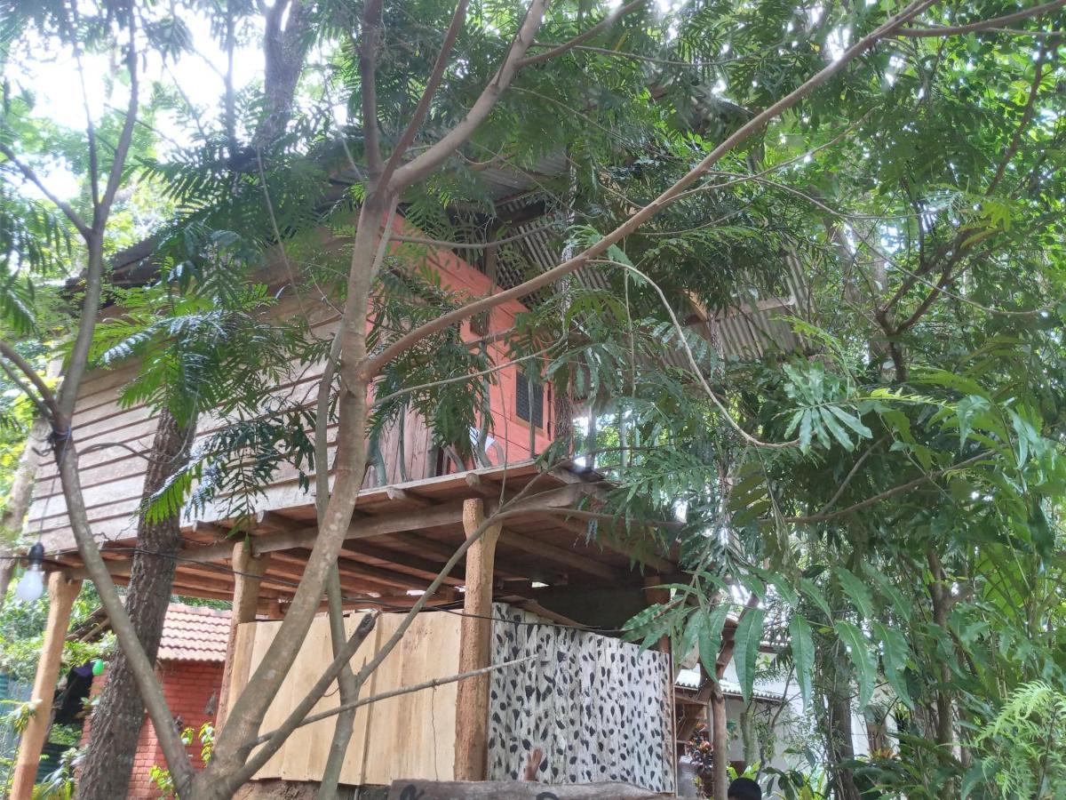 Apartamento Angry Birds Tree House Habarana Exterior foto