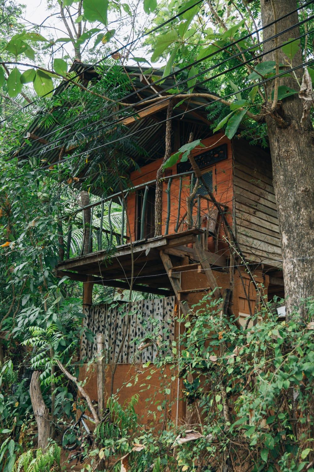 Apartamento Angry Birds Tree House Habarana Exterior foto