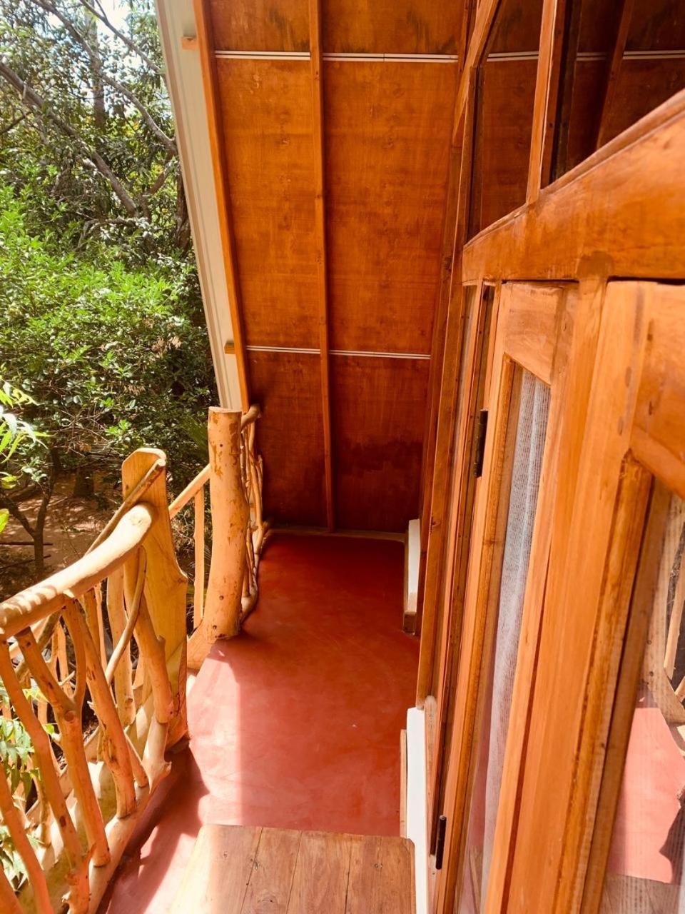 Apartamento Angry Birds Tree House Habarana Exterior foto