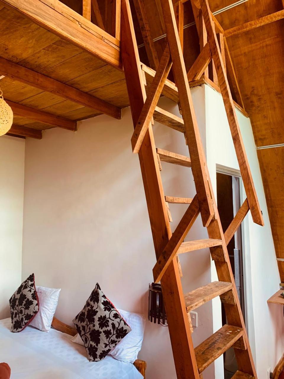 Apartamento Angry Birds Tree House Habarana Exterior foto