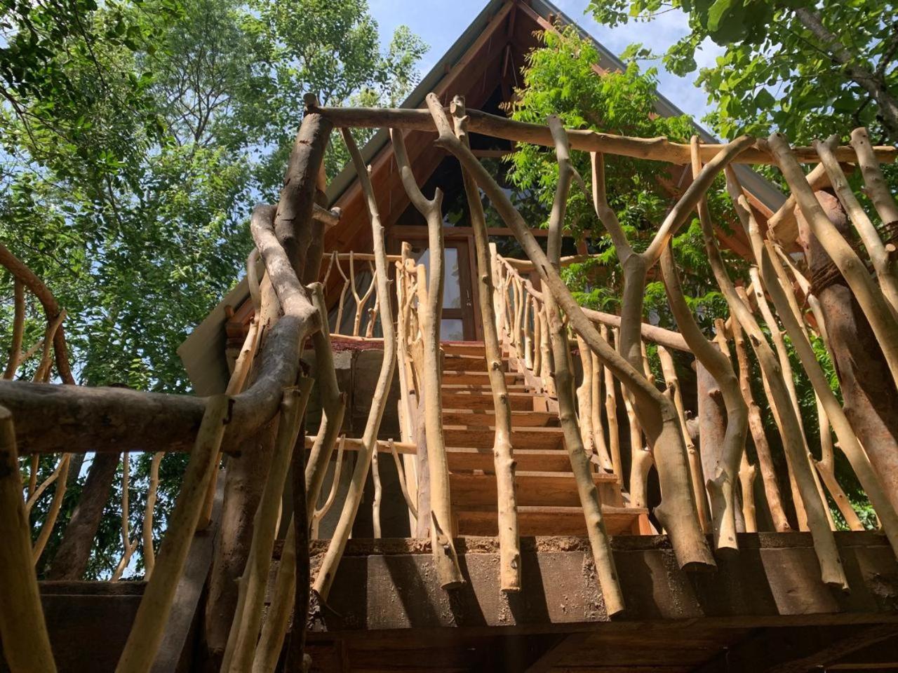 Apartamento Angry Birds Tree House Habarana Exterior foto