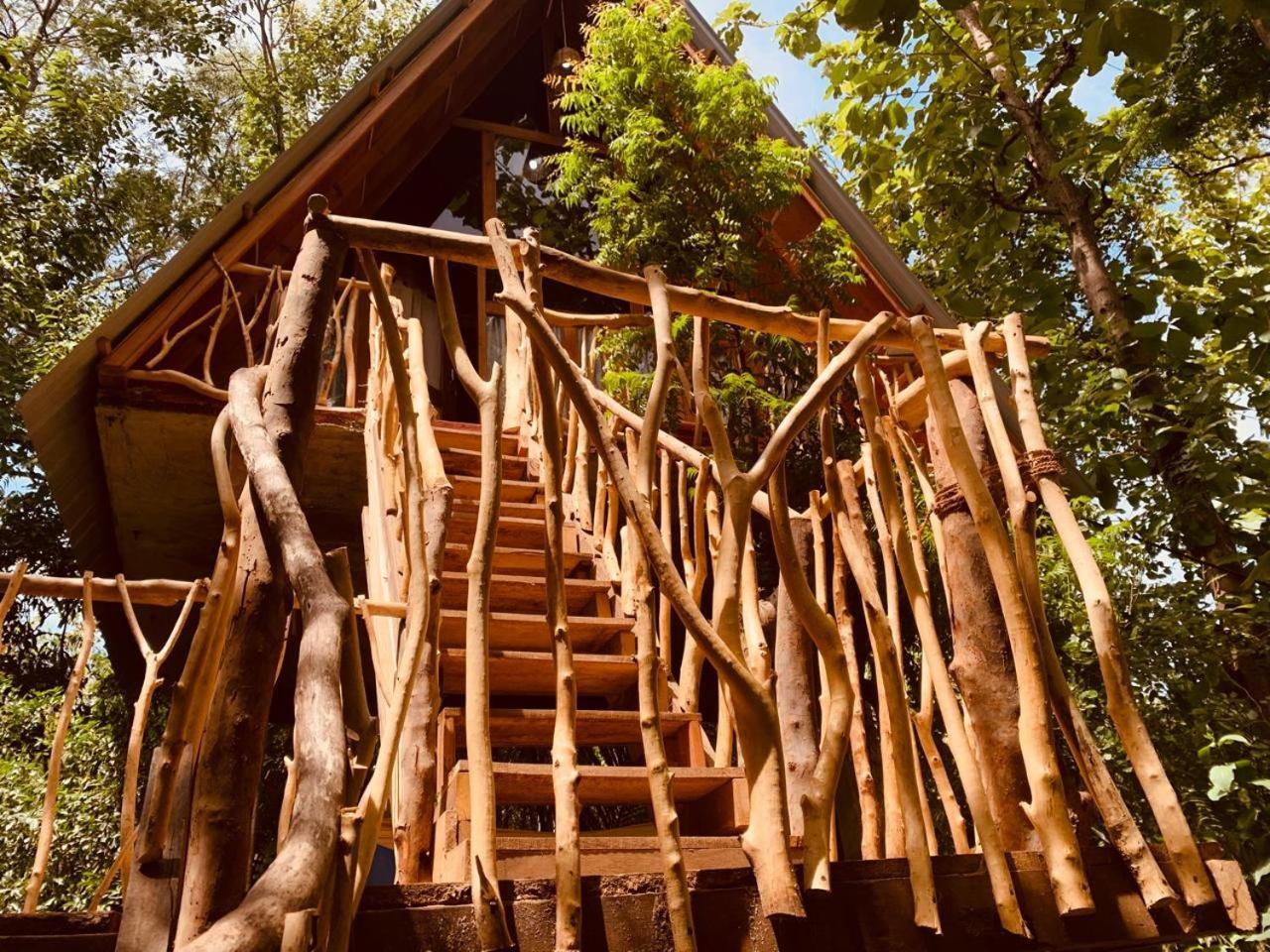 Apartamento Angry Birds Tree House Habarana Exterior foto