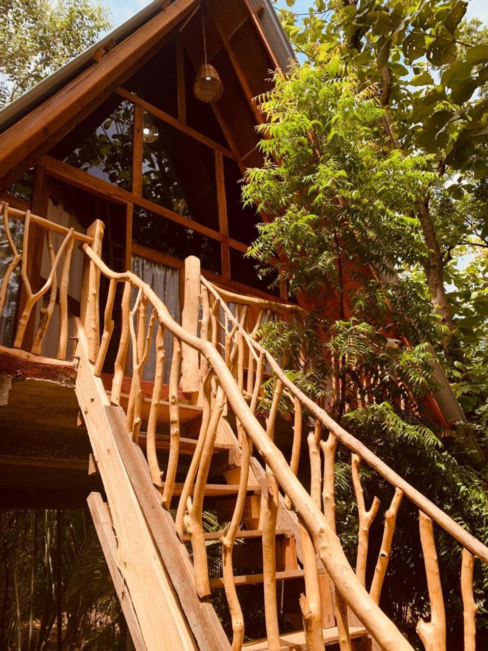 Apartamento Angry Birds Tree House Habarana Exterior foto