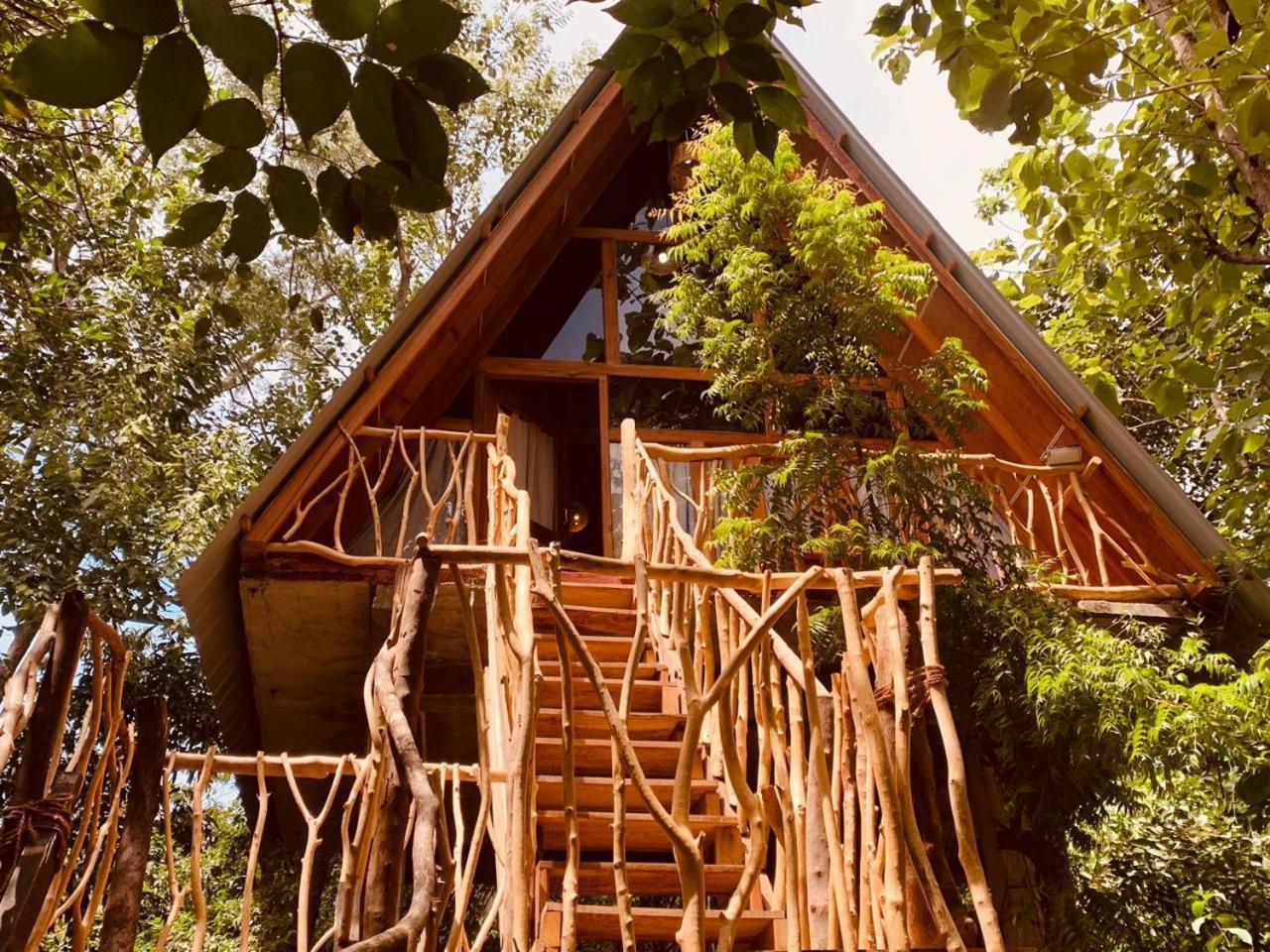 Apartamento Angry Birds Tree House Habarana Exterior foto