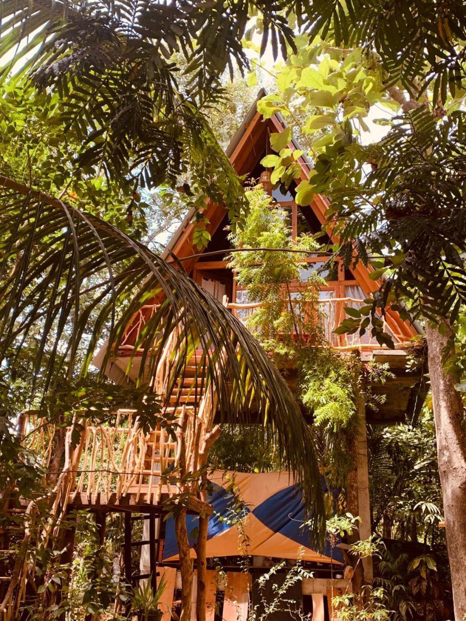 Apartamento Angry Birds Tree House Habarana Exterior foto