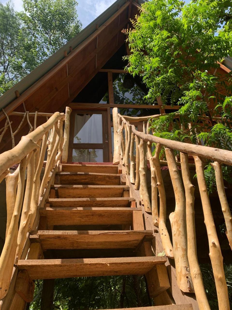 Apartamento Angry Birds Tree House Habarana Exterior foto