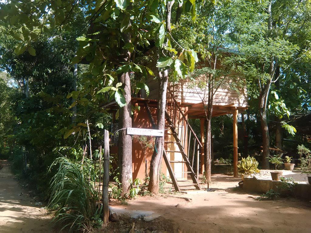 Apartamento Angry Birds Tree House Habarana Exterior foto