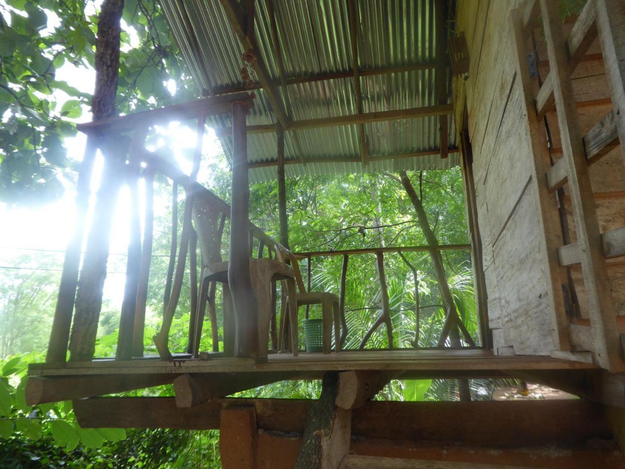 Apartamento Angry Birds Tree House Habarana Exterior foto