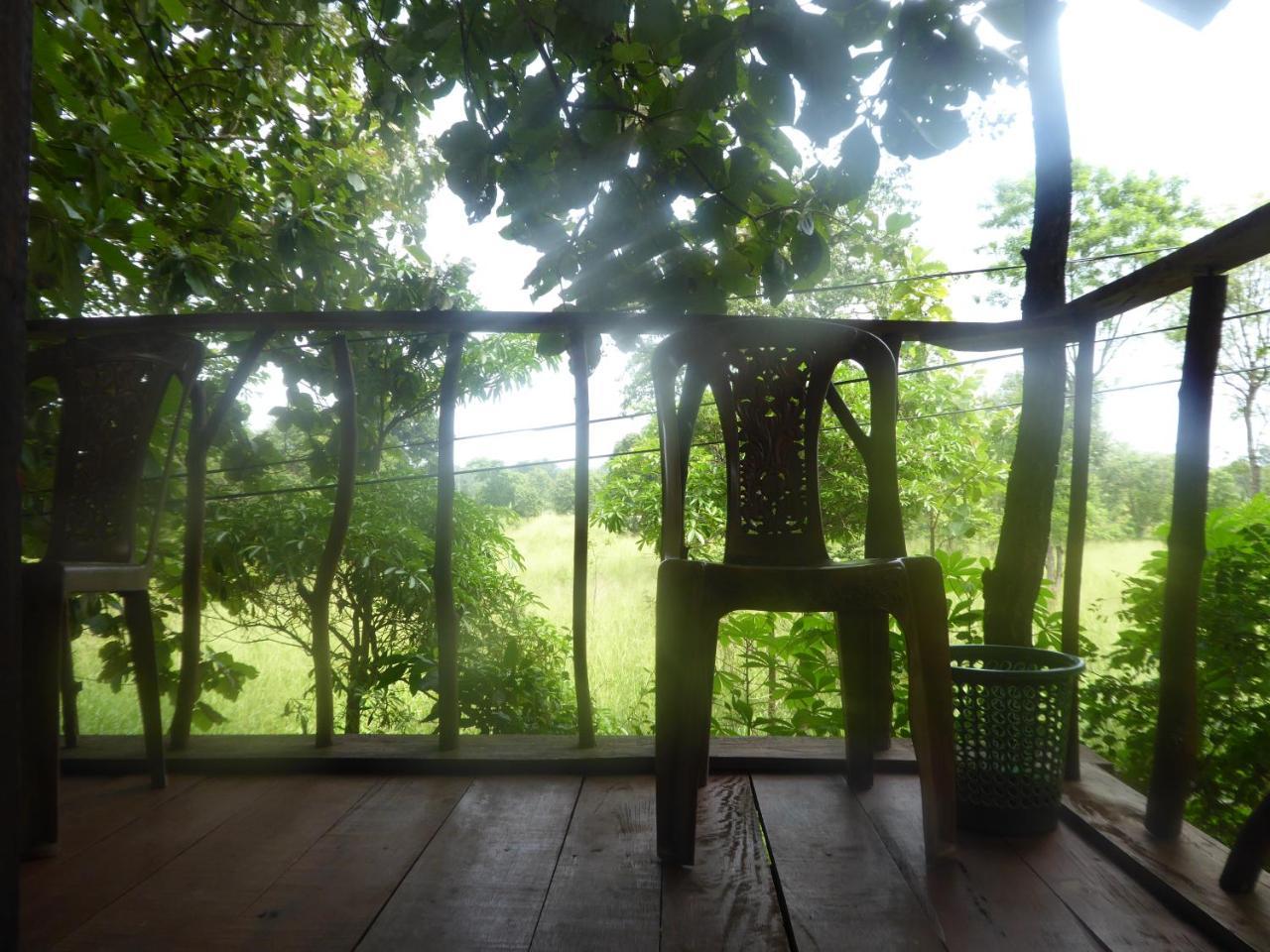Apartamento Angry Birds Tree House Habarana Exterior foto